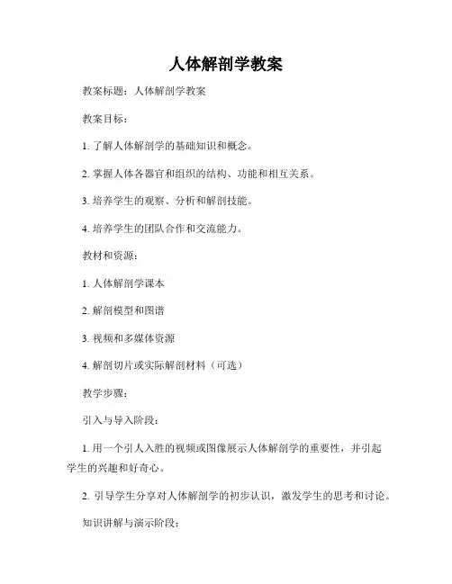 人体解剖学教案