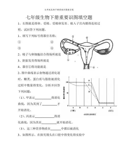 七年级生物下册重要识图填空题