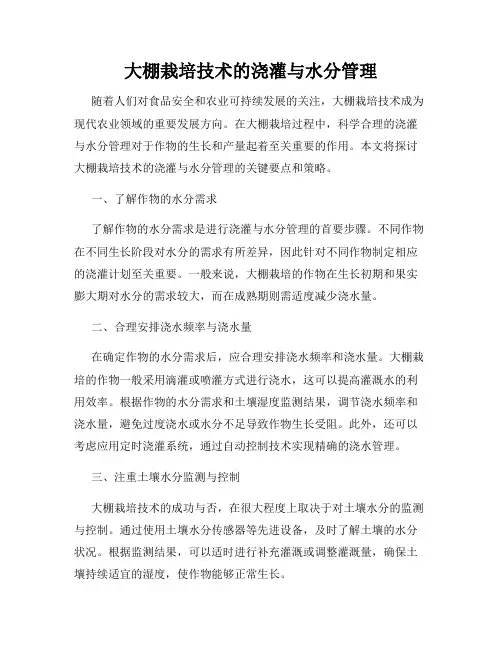大棚栽培技术的浇灌与水分管理