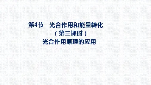 【课件】光合作用原理的应用--影响光合作用的因素课件-高一上学期生物人教版(2019)必修1