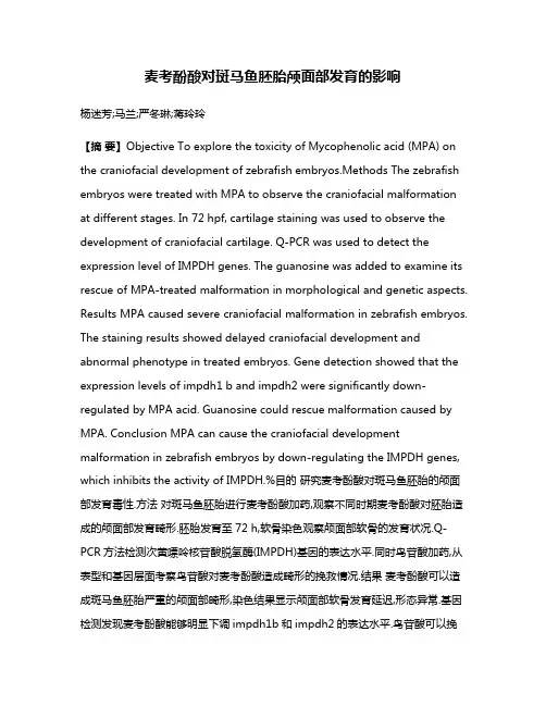 麦考酚酸对斑马鱼胚胎颅面部发育的影响