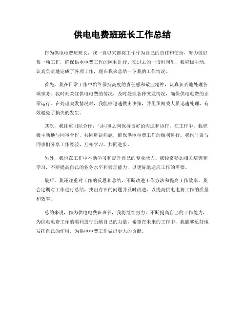 供电电费班班长工作总结