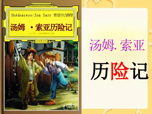 部编版语文六年级下册《汤姆索亚历险记》ppt课件