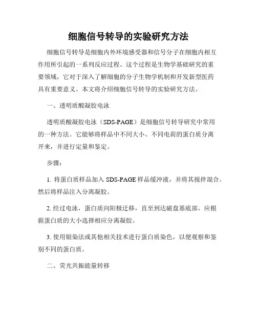 细胞信号转导的实验研究方法
