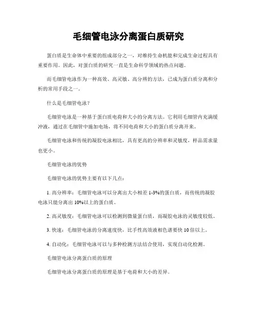 毛细管电泳分离蛋白质研究