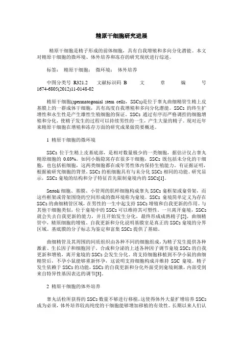 精原干细胞研究进展