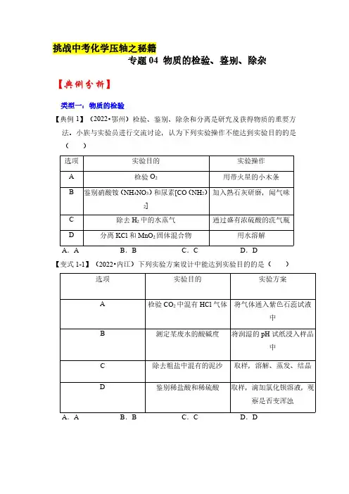 专题04 物质的检验、鉴别、除杂-挑战2023年中考化学压轴题之秘籍(全国通用)(原卷版)