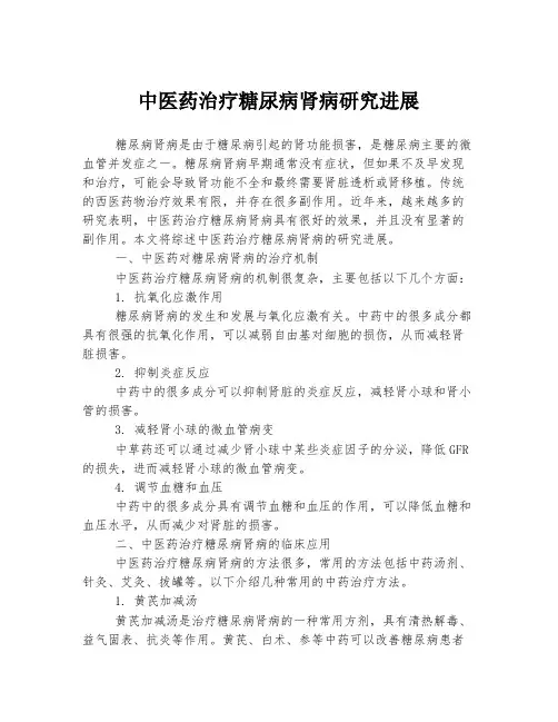中医药治疗糖尿病肾病研究进展
