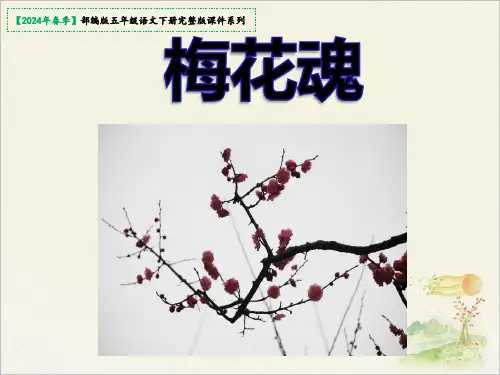 《梅花魂》课件(共70张PPT)