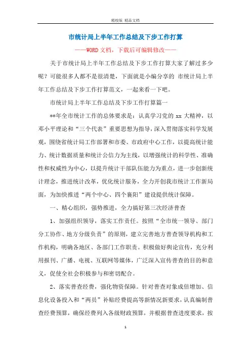 市统计局上半年工作总结及下步工作打算