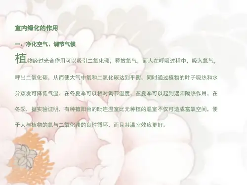室内绿化设计ppt课件