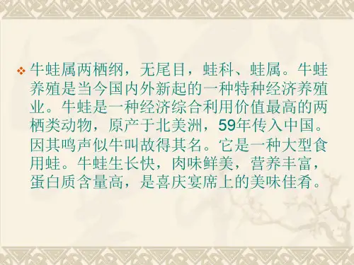 牛蛙Ranacatesbeiana的养殖
