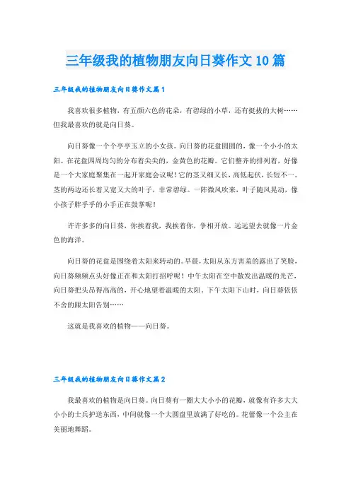 三年级我的植物朋友向日葵作文10篇