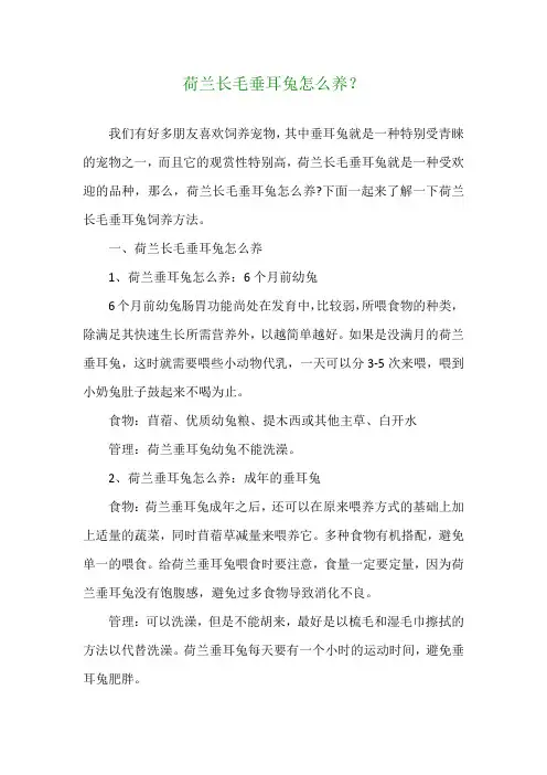 荷兰长毛垂耳兔怎么养？