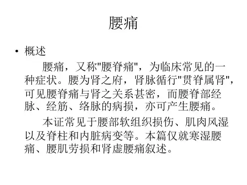 腰痛痹症漏肩风PPT课件