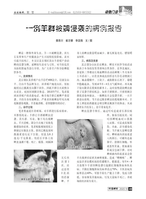 一例羊群被蜱侵袭的病例报告