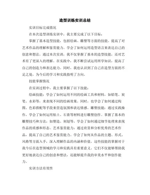 造型训练实训总结