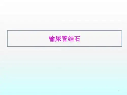输尿管结石ppt课件