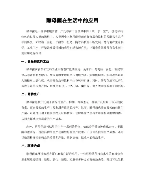 酵母菌在生活中的应用
