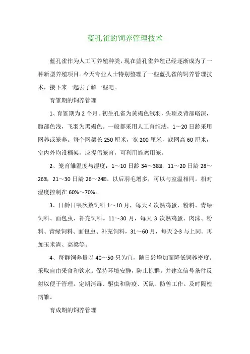 蓝孔雀的饲养管理技术
