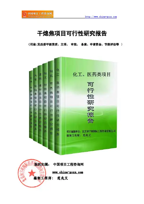 干熄焦项目可行性研究报告(备案用案例)