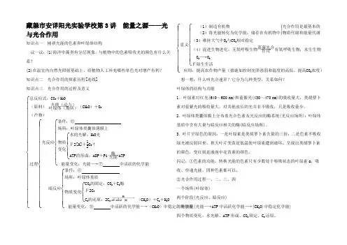 高考生物一轮复习 教师用书 第三单元 第3讲能量之源1