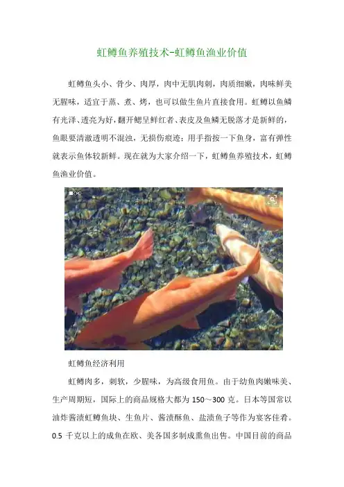虹鳟鱼养殖技术虹鳟鱼渔业价值