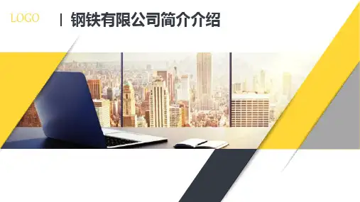 钢铁有限公司简介介绍PPT课件