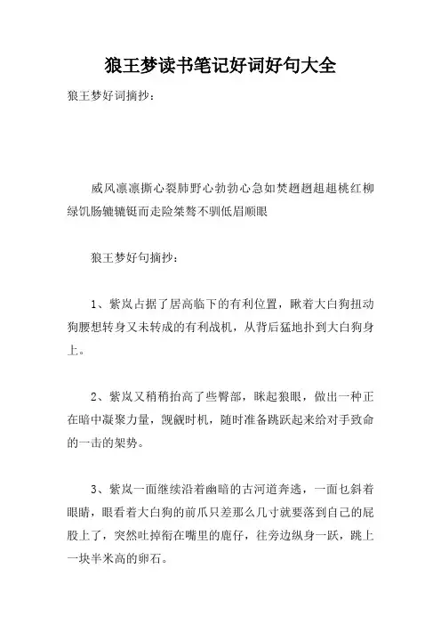 狼王梦读书笔记好词好句大全