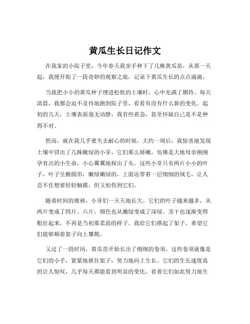 黄瓜生长日记作文