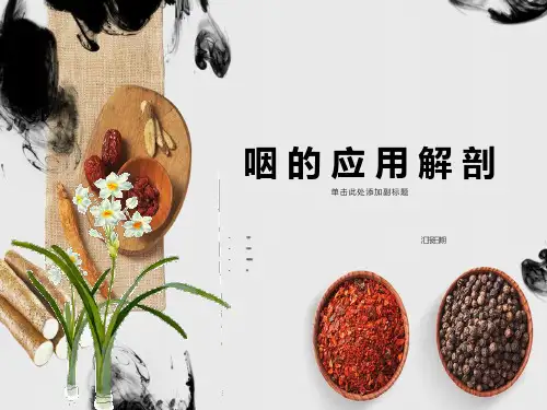 咽的解剖生理及生理咽炎