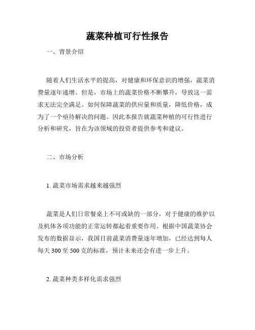 蔬菜种植可行性报告