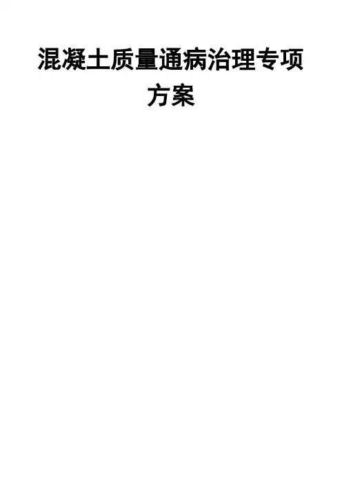 混凝土质量通病治理专项方案