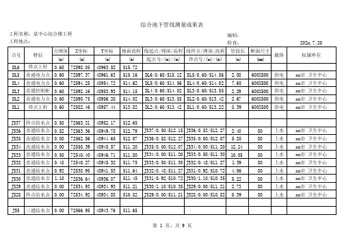 工程-综合地下管线成果表