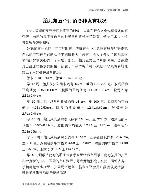 胎儿第五个月的各种发育状况