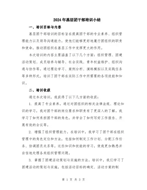 2024年基层团干部培训小结