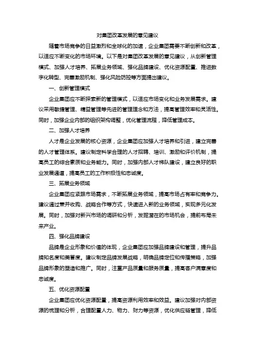 对集团改革发展的意见建议