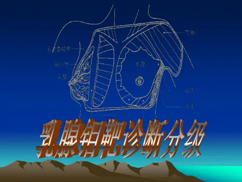 乳腺钼靶诊断分级标准