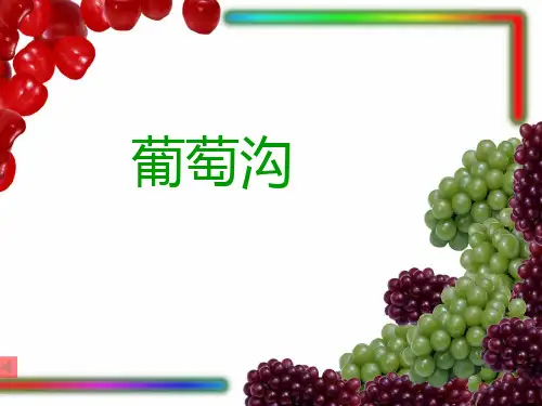 10、《葡萄沟》PPT课件