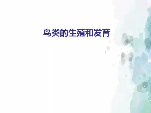 济南版生物-八年级上册-八年级 第四单元 第二章 第3节 鸟的生殖和发育课件