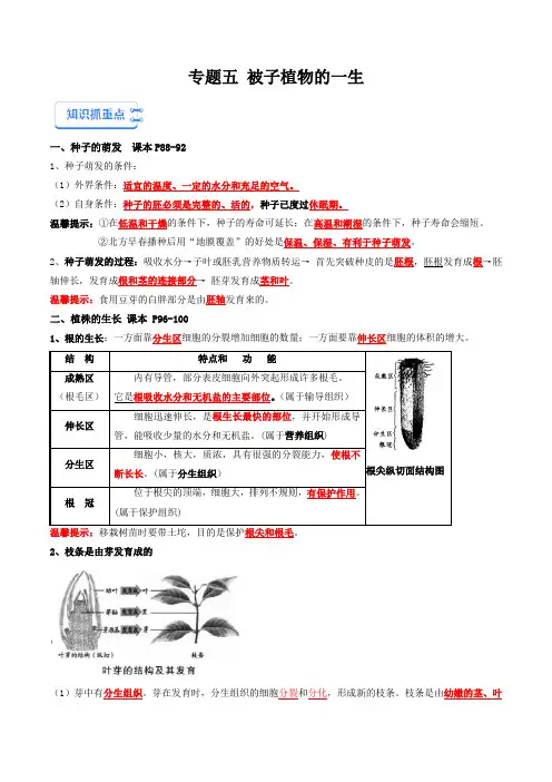 专题05 被子植物的一生-备战2024年中考生物一轮复习抓重点考典型