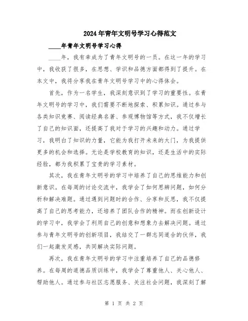 2024年青年文明号学习心得范文