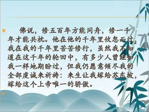 人教版苏轼《定风波》(公开课) 一等奖优秀课件