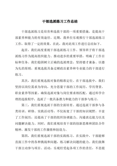 干部选派锻炼工作总结
