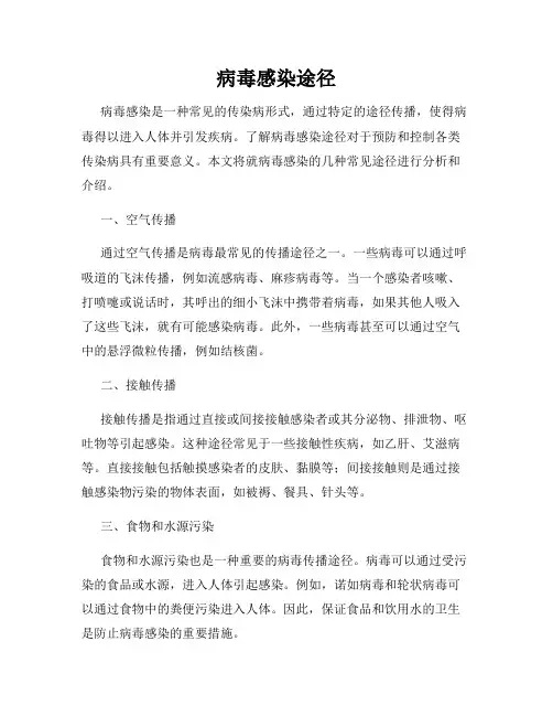 病毒感染途径