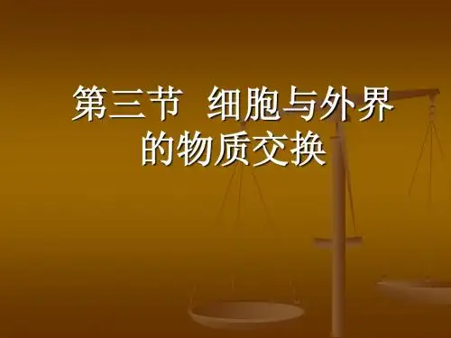 细胞与外界的物质交换