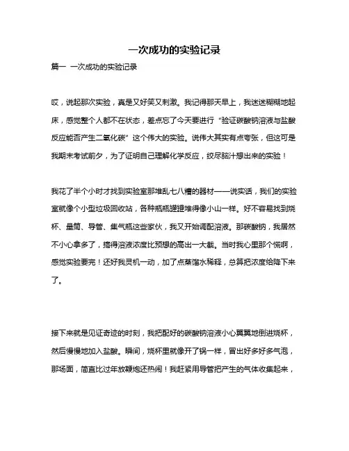作文《一次成功的实验记录》