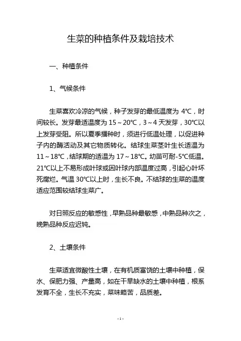 生菜的种植条件及栽培技术