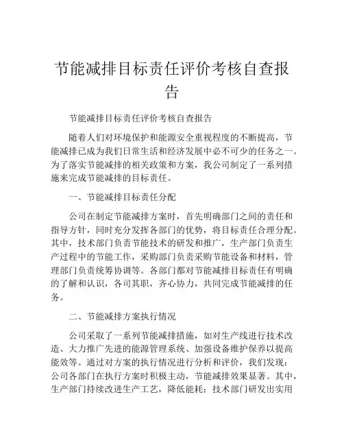 节能减排目标责任评价考核自查报告