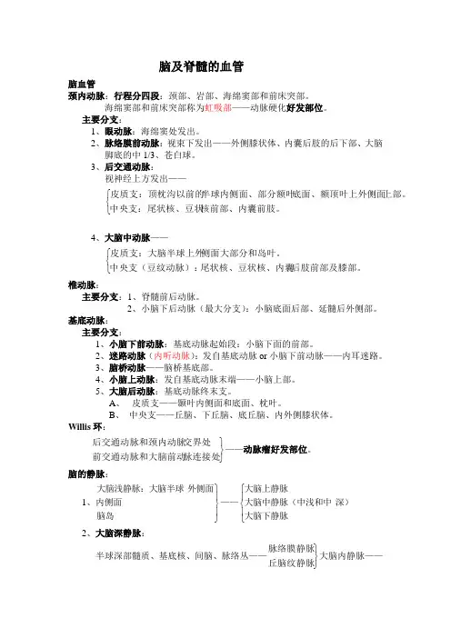 脑及脊髓的血管